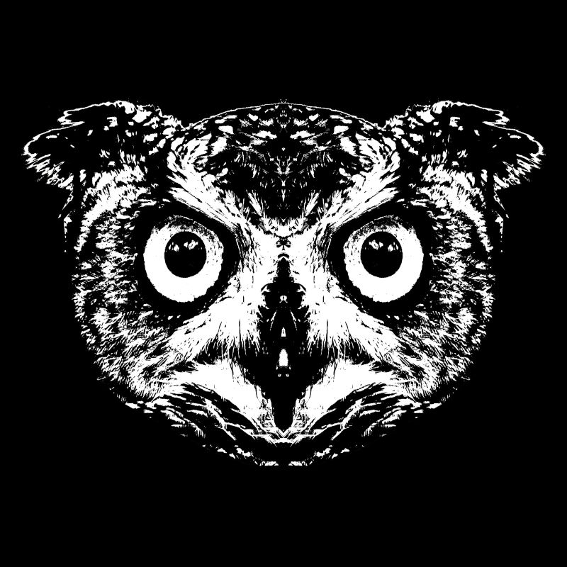 Owl / Eagle Owl / Owl