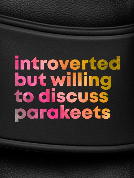 Parakeet Parakeet Parakeet