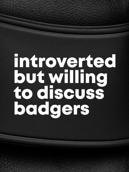 Badger Badger Badger