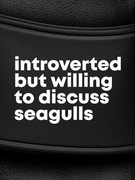 Seagull Seagull Seagull