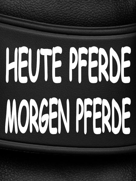 Pferde