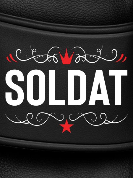 Soldier Profession