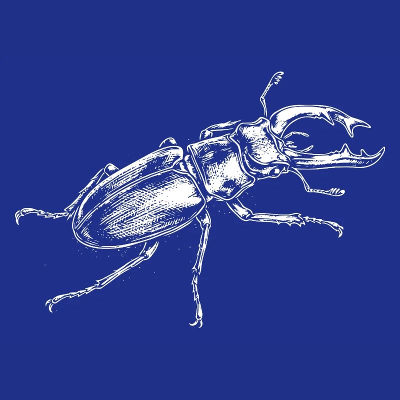 Conception de gros insectes