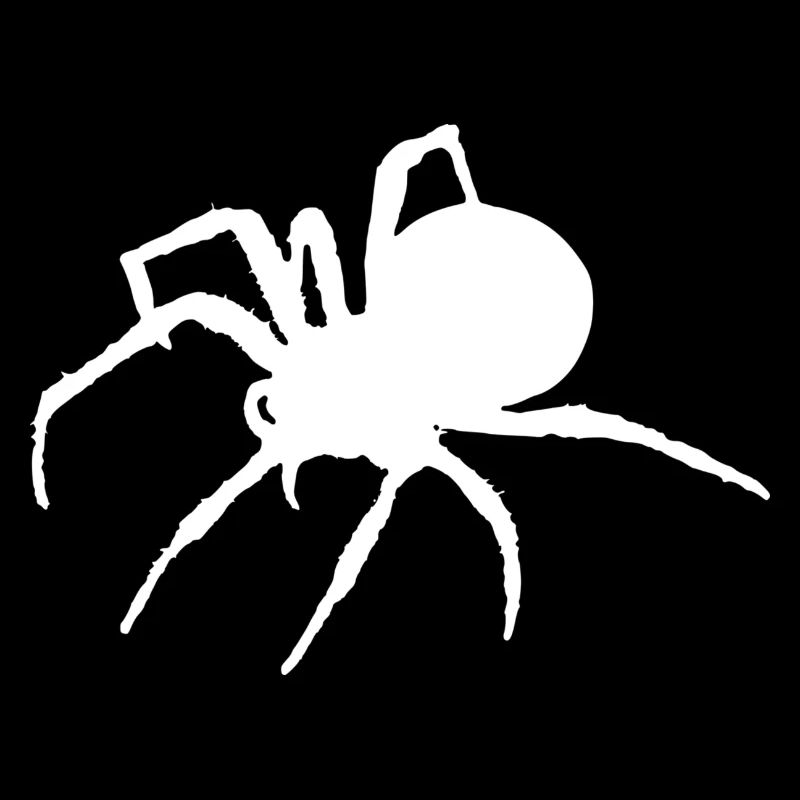 spider