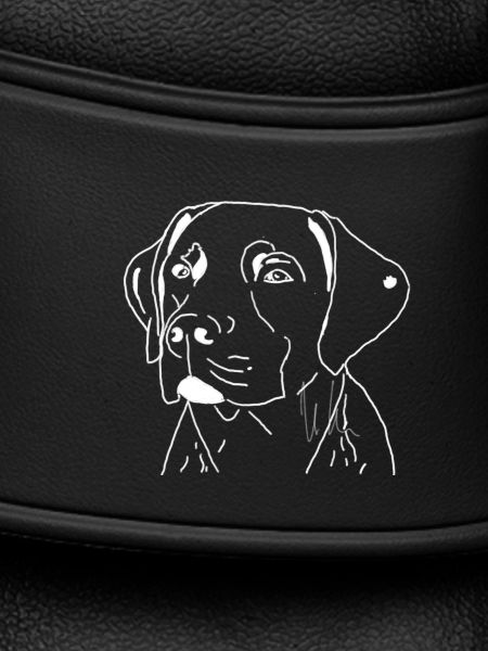 Labrador