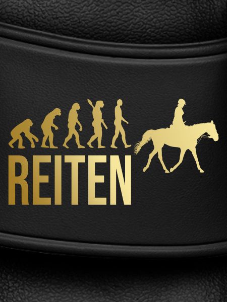 Reiten Evolution