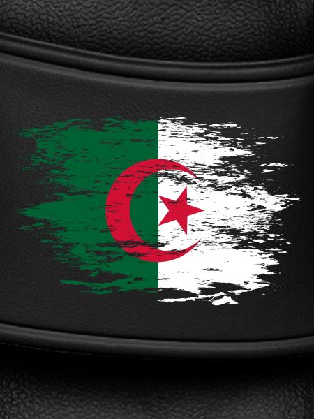 Algeria flag used