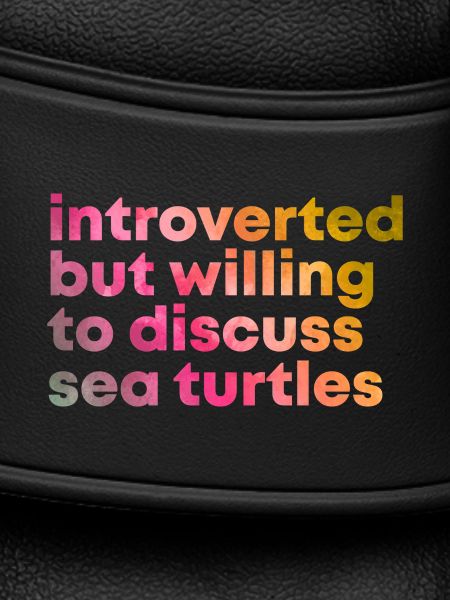 Sea Turtle Sea Turtle Sea Turtle