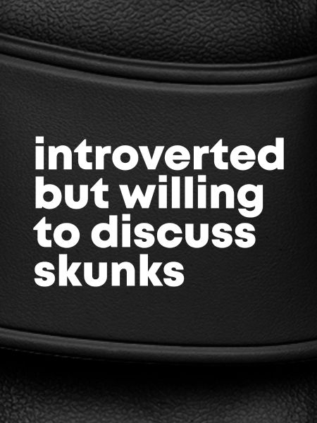 Stinktier-Stinktier-Stinktier-Stinktier