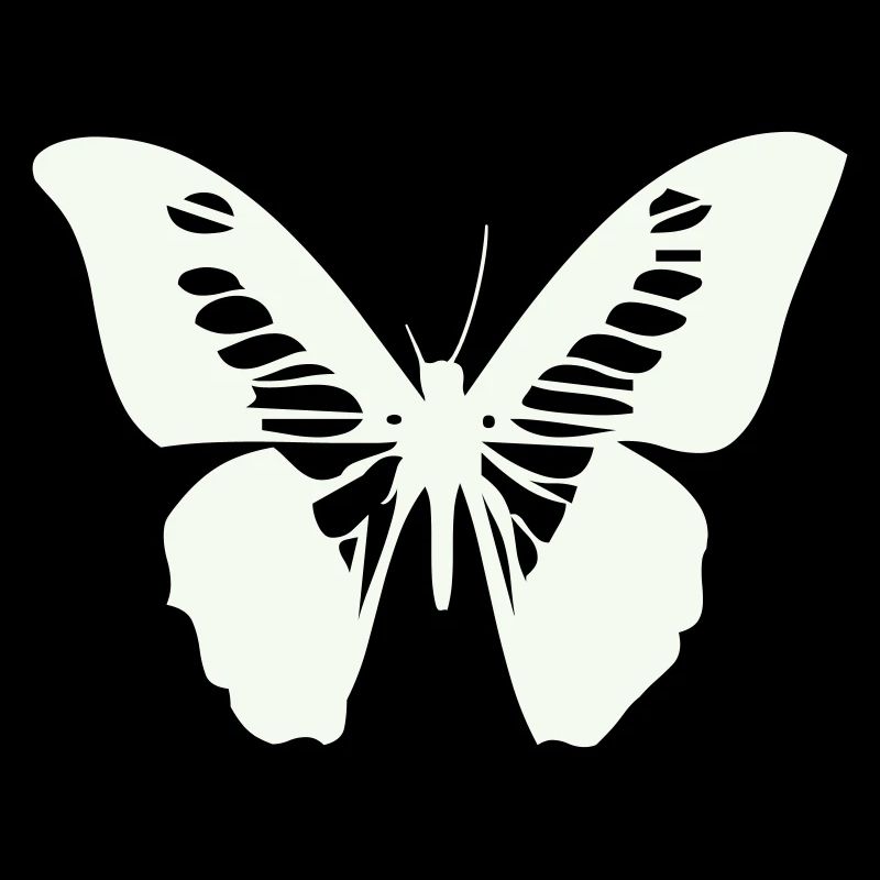 butterfly