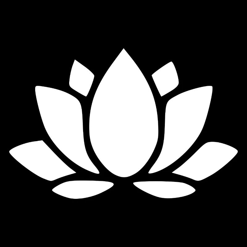 Fleur de lotus Fleur de lotus Fleur blanche Fleur Yoga Blanche