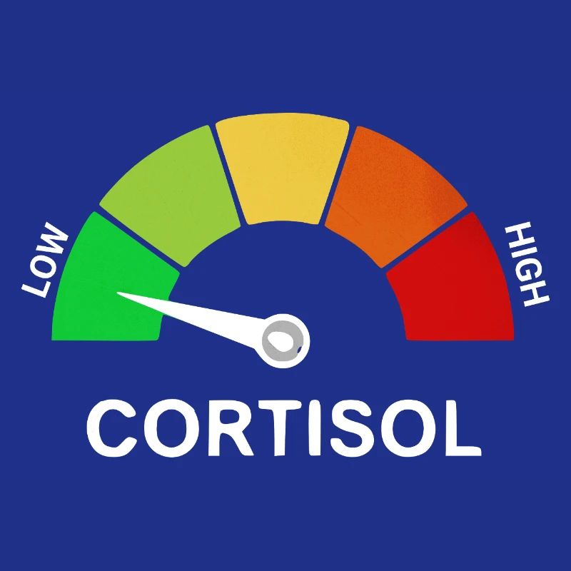 Échelle de cortisol bas