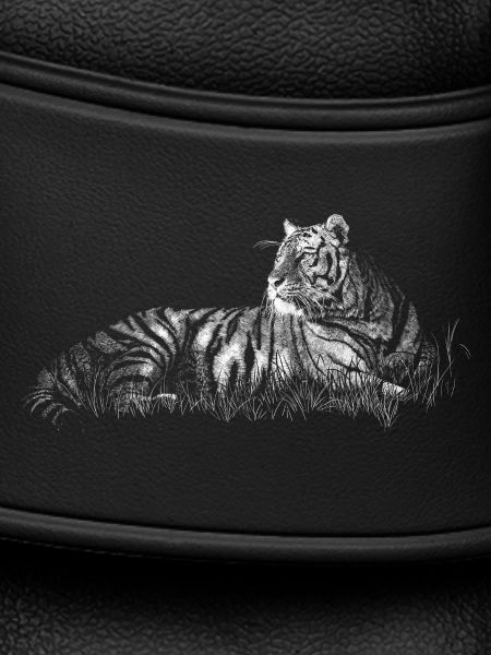 Tigre