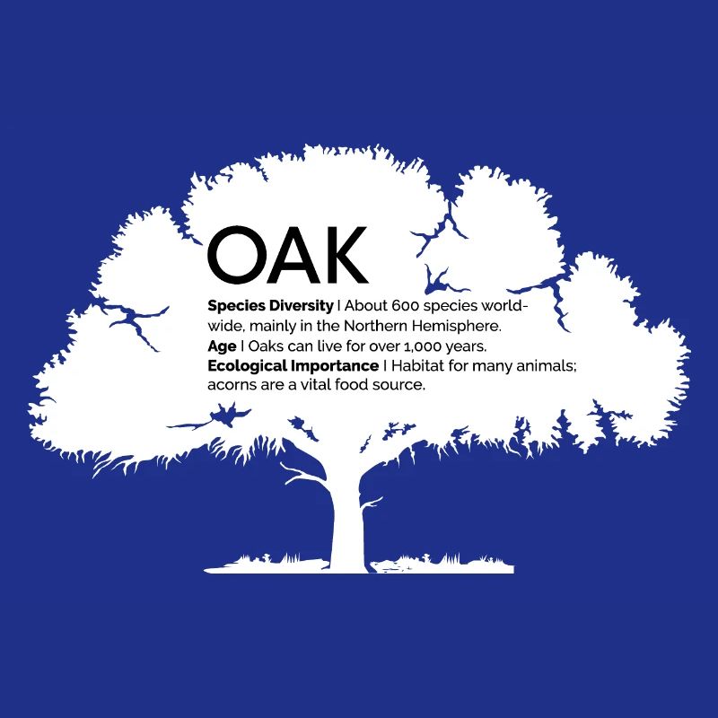 OAK Eichen mit Informationen Naturschutz Baum Wald