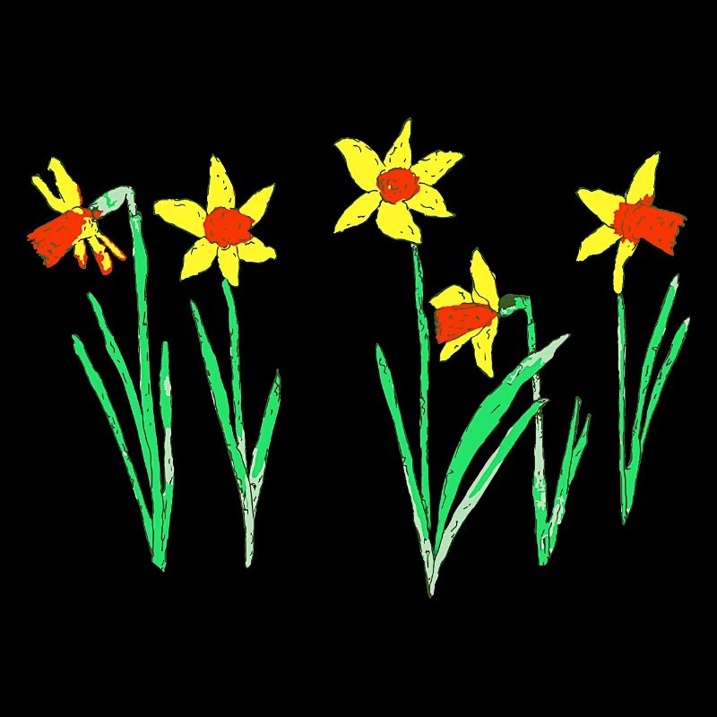 Daffodils