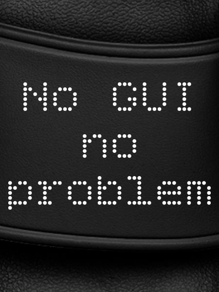 No GUI no problem