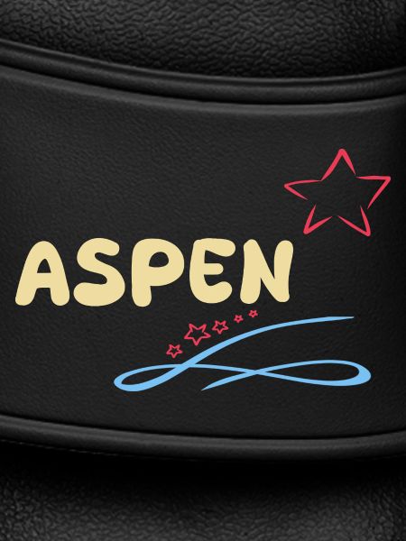 Gift for Aspen
