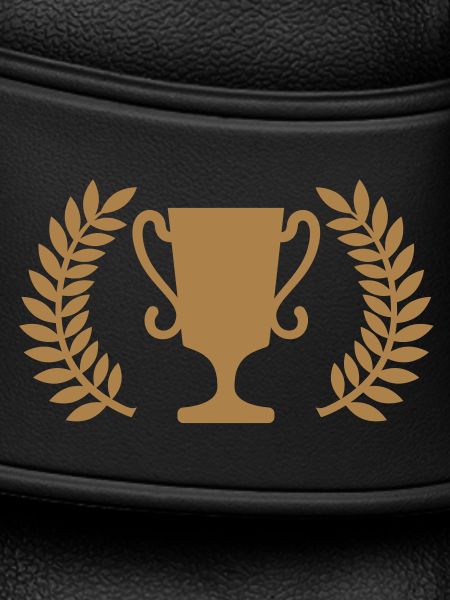 Pokal