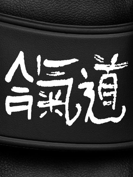 Aikido kanji