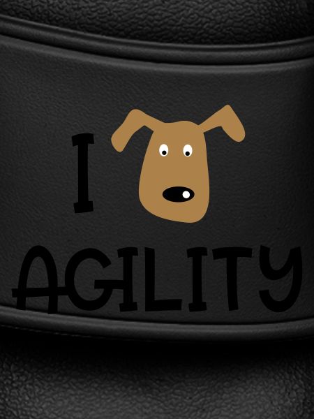 AGILITY