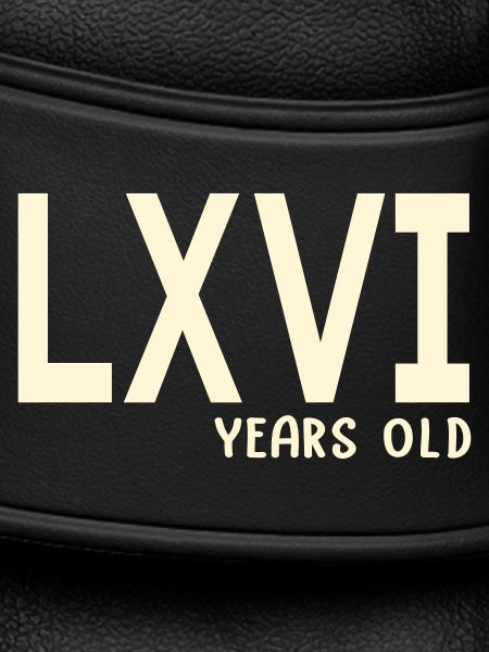 Roman Numerals 66