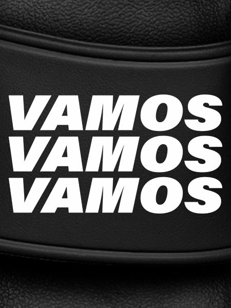 VAMOS