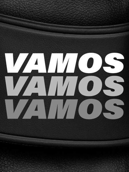 VAMOS