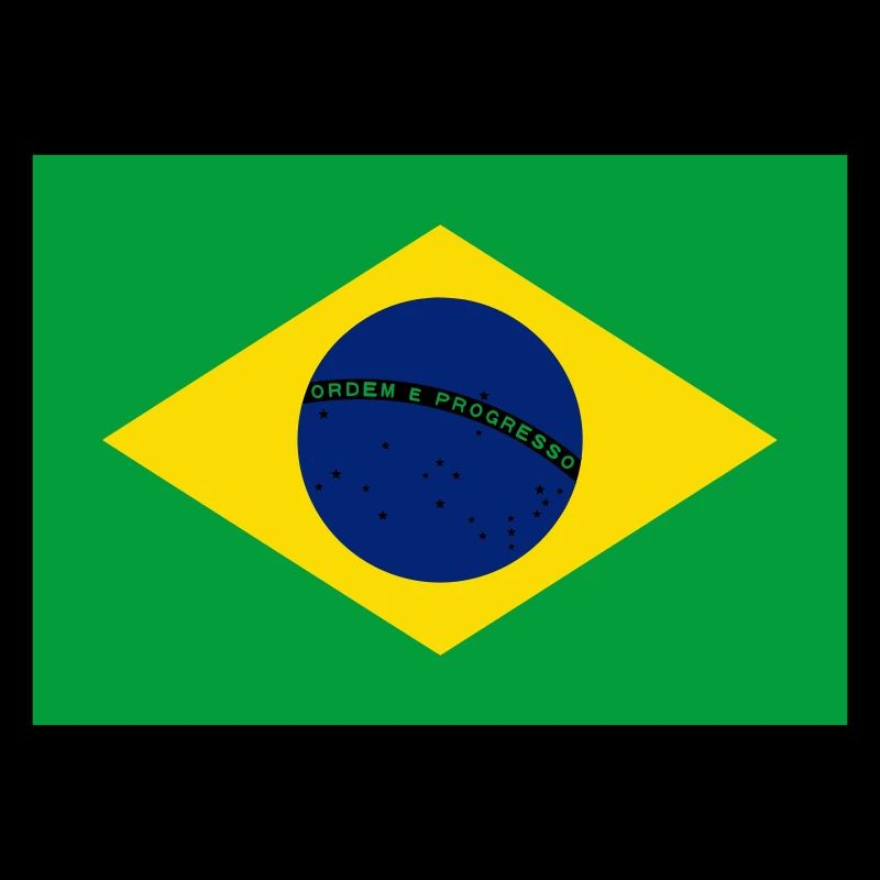 Flagge von Brasilien / Drapeau Brésil