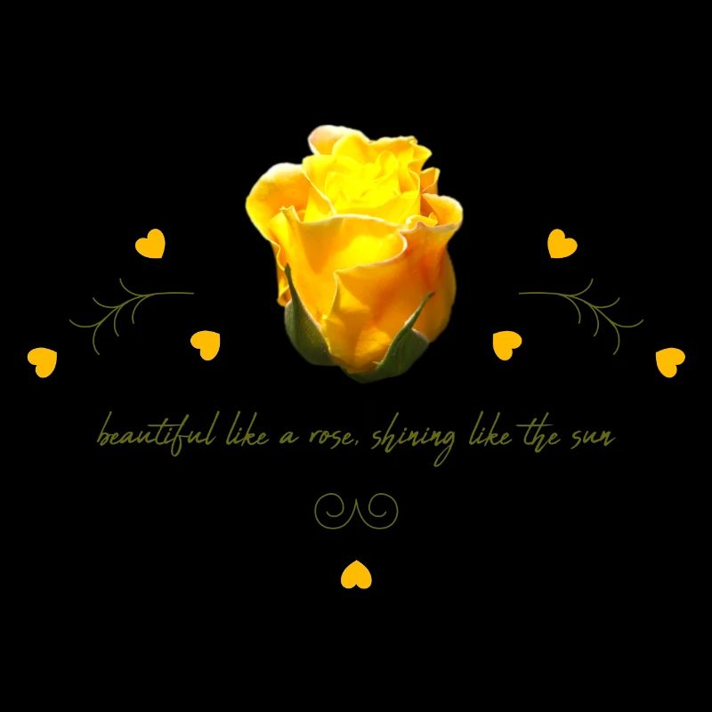 rose belle rose jaune
