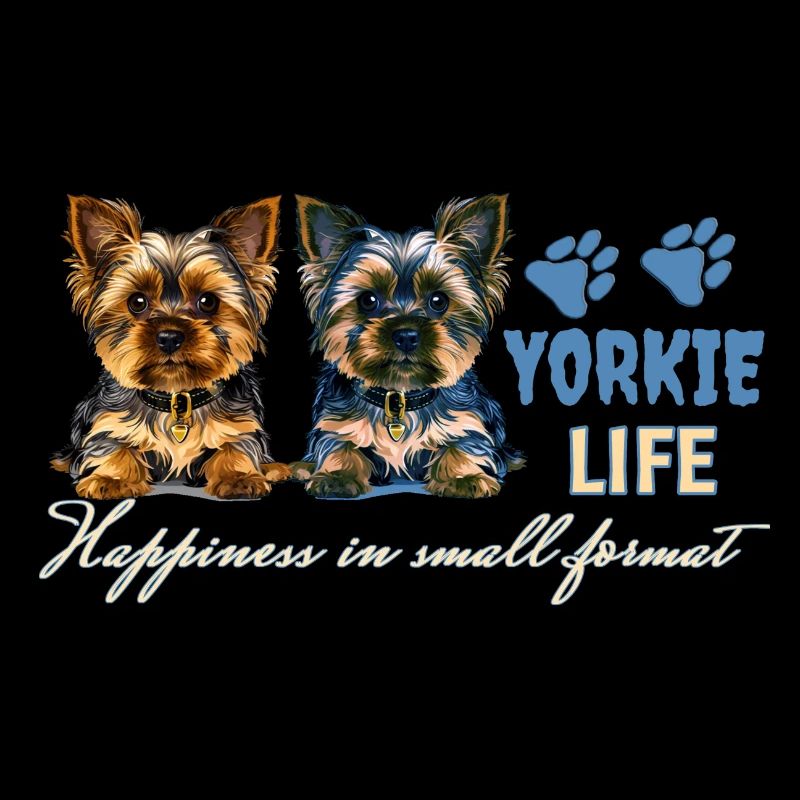 Chiots Yorkie