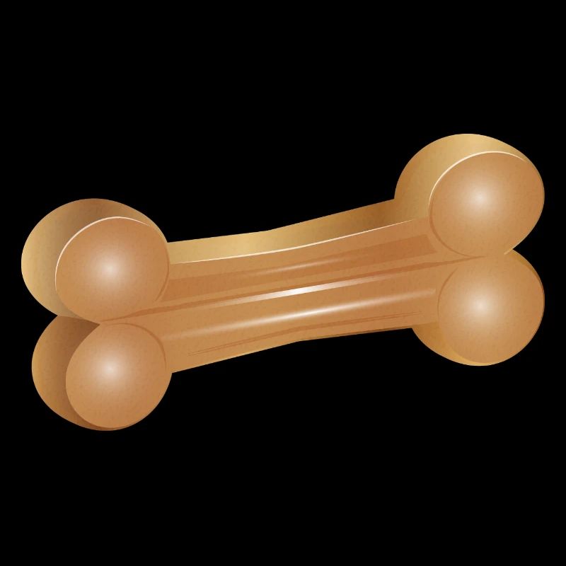 Illustration d’os à mâcher dans un style classique