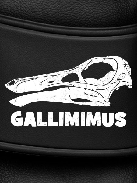 Gallimimus Skull Fossil