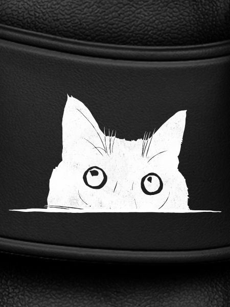 Peeping Cat