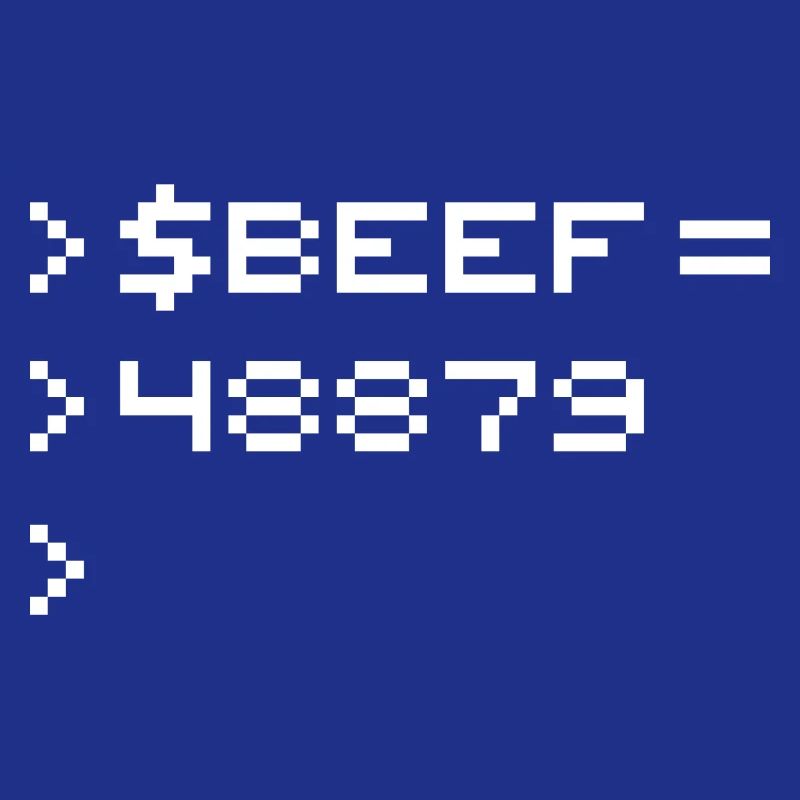 BEEF 8-Bit Code Nerd Pixel Terminal Retro