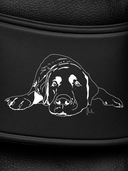 Labrador