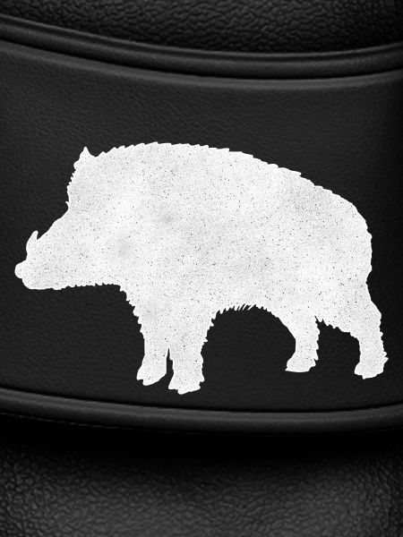 Wild boar