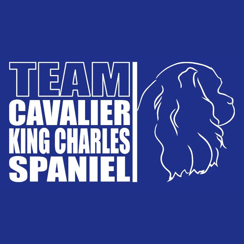 TEAM Cavalier King Charles Spaniel Profil Wilsigns