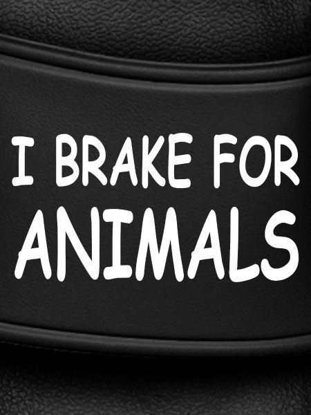 Animals