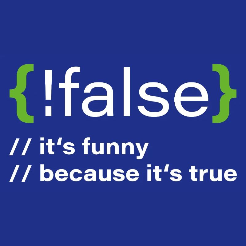 false – Funny programmer saying