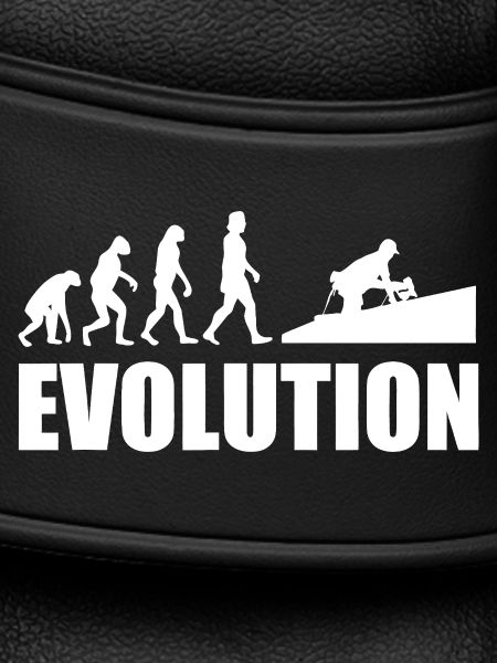 Evolution to Innovation