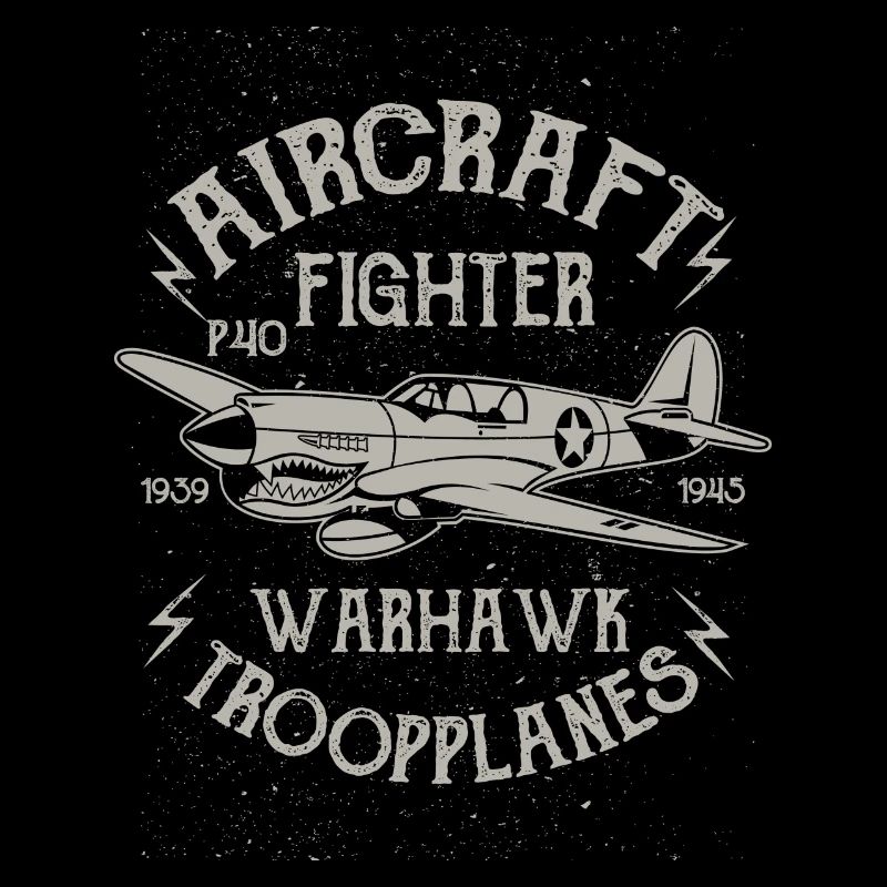 Warhawk Flugzeug Flieger