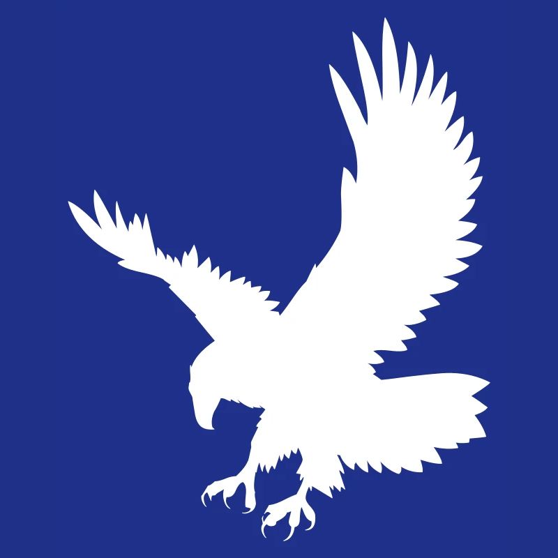 An eagle chasing its prey