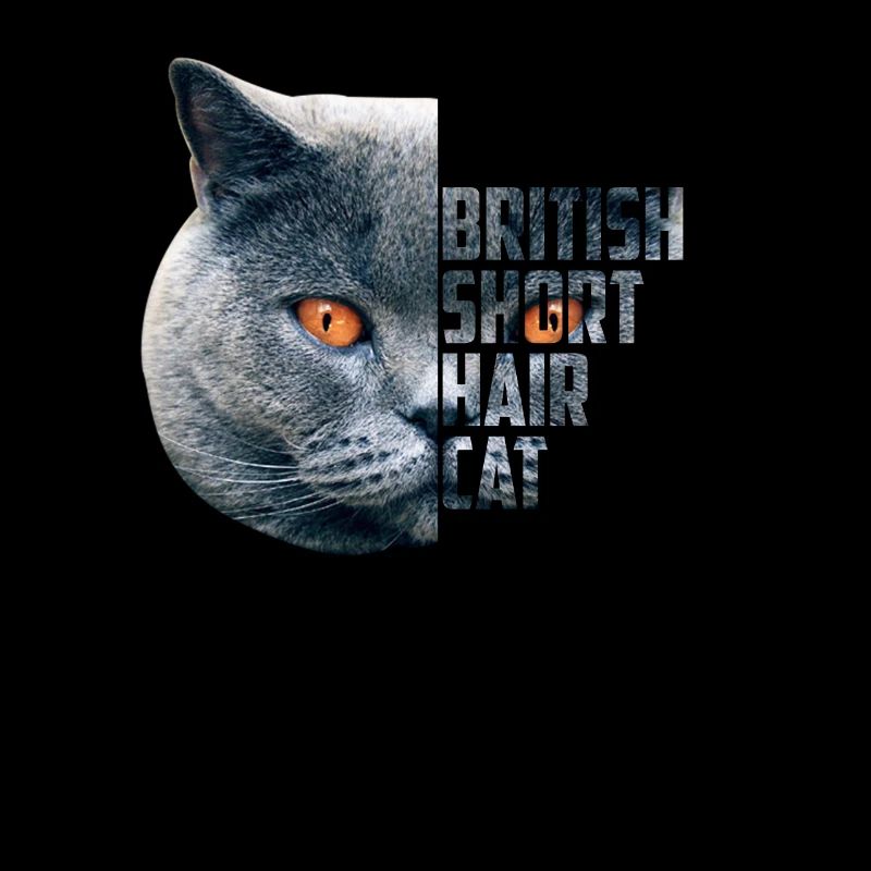 British Shorthair Cat - BKH blue gift idea