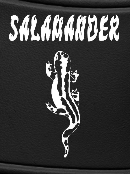 Salamandre blanche