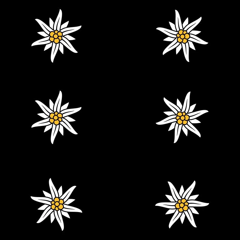 Tablier Dirndl Edelweiss