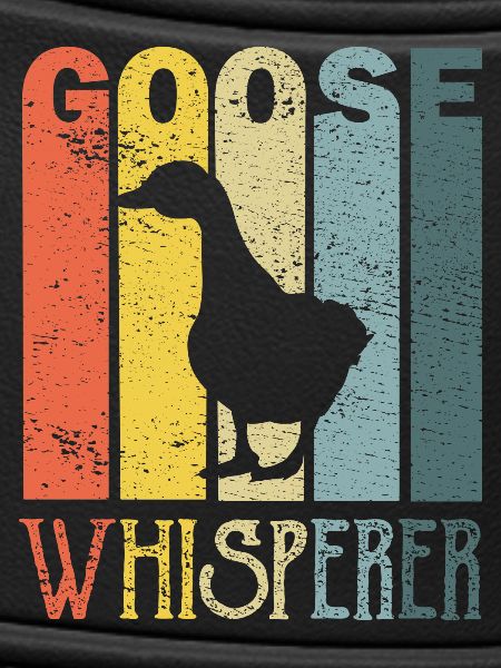 Goose geese
