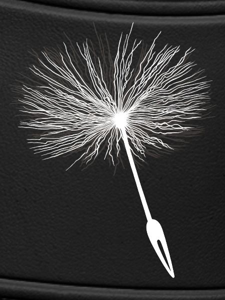Loewenzahn Samen Pusteblume