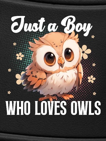 Owl Owls