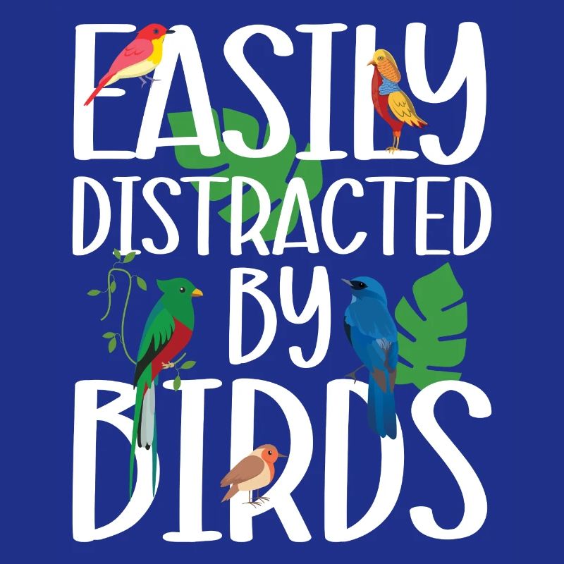 Facilement distrait par les oiseaux