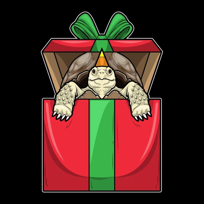 Schildkröte Geburtstag Paket